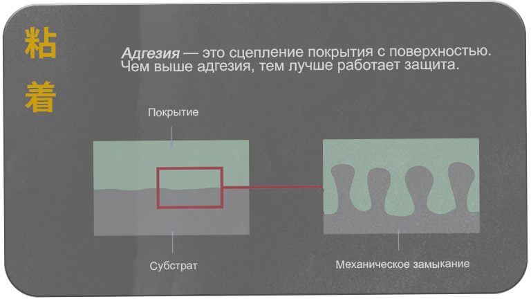 Адгезия