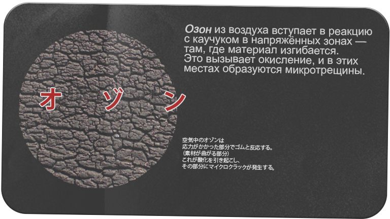 Озон